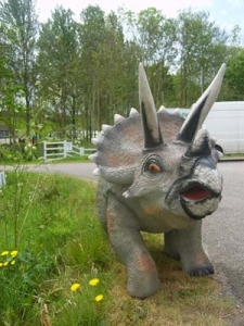 baby triceratops at swallowdale b  [1]